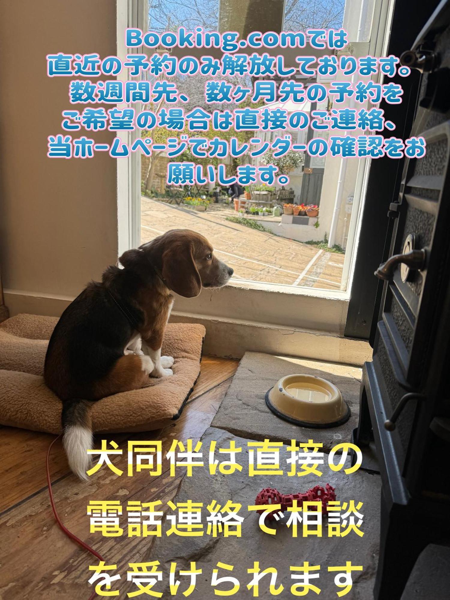 Kamakurayama Holiday Flat Kültér fotó