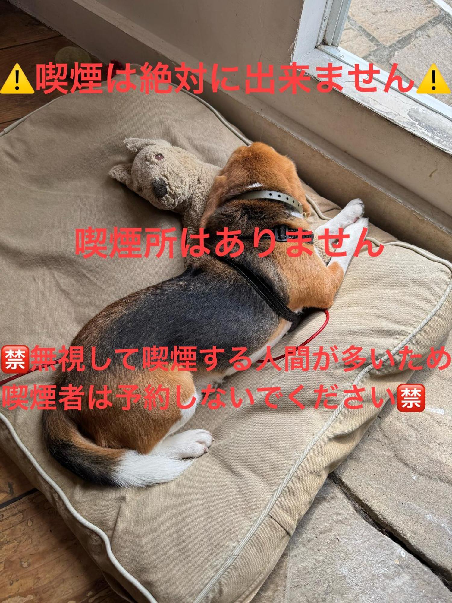 Kamakurayama Holiday Flat Kültér fotó